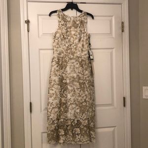 Adrianna Papell Women’s Dress size 10